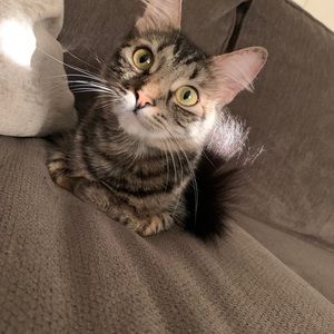 Meet your Posher, Ivana